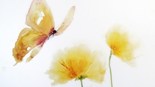 butterflies Cindy 2017