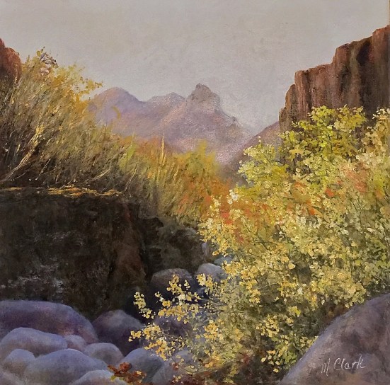 molly canyon trees 2018.jpg