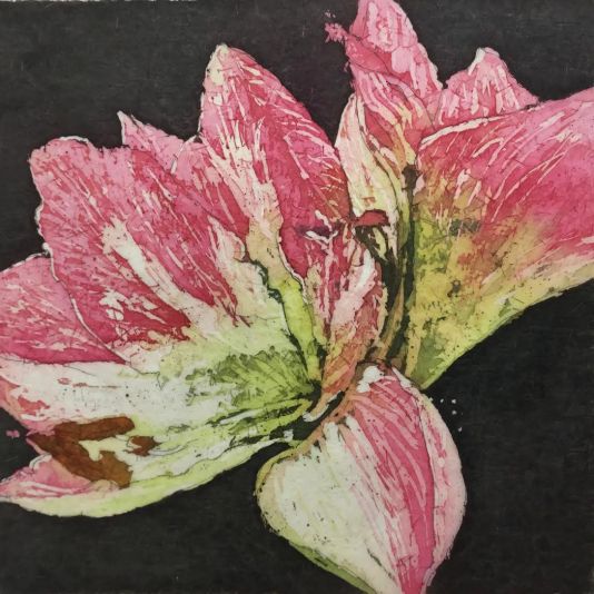 apple blossom amarylis Paige.jpg