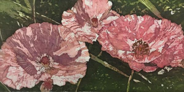 Shirley's poppies Paige.jpg